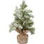 Snow Covered Small Tree